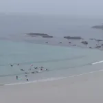 Sisargas * Malpica